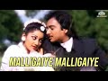 Malligaiye Malligaiye Periya Veetu Pannakkaran Movie Songs K S Chithra K J Yesudas