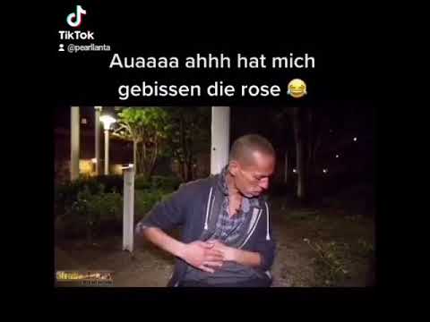 die Rose hat mich gebissen | comedy