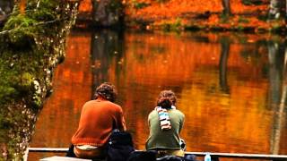 Monica Molina - Ay Amor