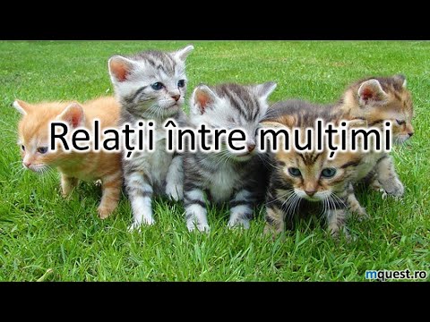 Relatii Intre Multimi, clasa a VI-a