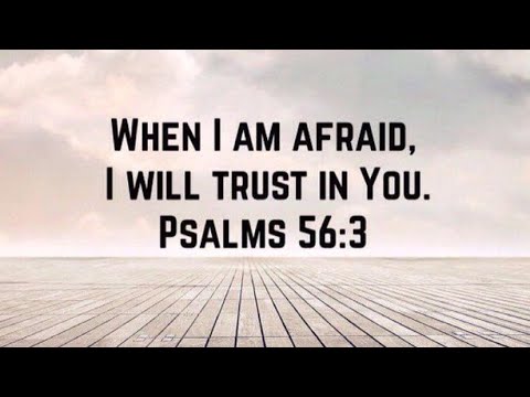 David Arthur | No! Not One! | 08.18.2020