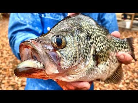 Watch A Bobber & Live Minnow Setup That Crappie Can't Resist