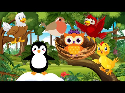 Filastrocca degli Uccellini Colorati | Canto degli Uccelli | Canzoni per Bambini | Cartoni Animati