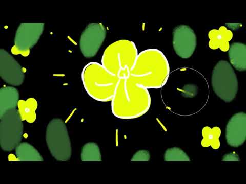 Invasive Species Presentation - Water Primrose