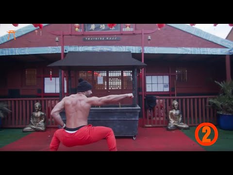 5 STANCE FIST wushu form (easy)