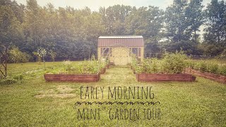 Mini Garden Tour July 6, 2025 🌱 What’s Thriving (and What’s Not!) on Our Homestead