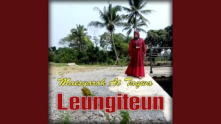 Download lagu Leungiteun (Radio Edit) mp3