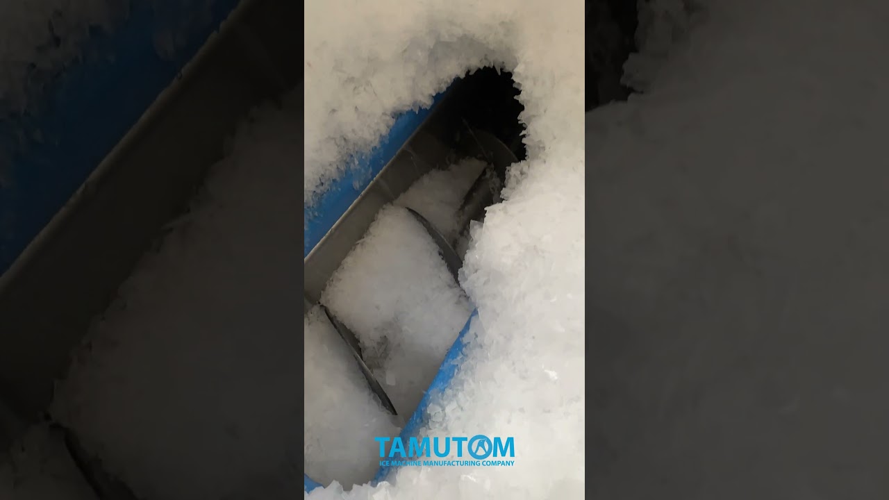 Ice Storage and Delivery Solutions #icemachine #flakeicemachine #icestoragesystem