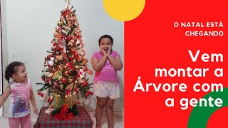 Preparando para o Natal - Montagem e enfeites da Árvore de Natal