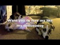 Like my dog does By Billy Currington (Lyrics)