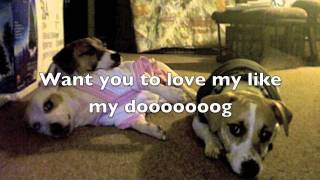 Like my dog does By Billy Currington (Lyrics)