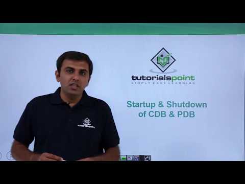 Oracle DB 12c - Startup & Shutdown of CDB & PDB