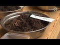 Een bijzonder beroep: Caroline is compostmeester - BuitenGewoon