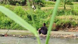 Download lagu @anonnuraeni3808    mp3