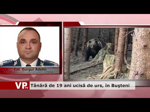 Tânără de 19 ani ucisă de urs, în Buşteni