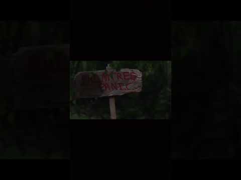 Sonic now vs in game 💀#sonic #sonicthehedgehog #shorts