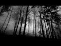 As Autumn Calls - Darkness Confined 
