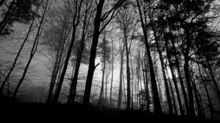 As Autumn Calls - Darkness Confined