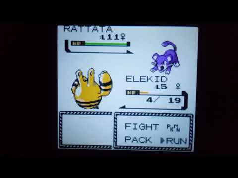Shiny Elekid in Pokémon Crystal in 16 Odd Eggs