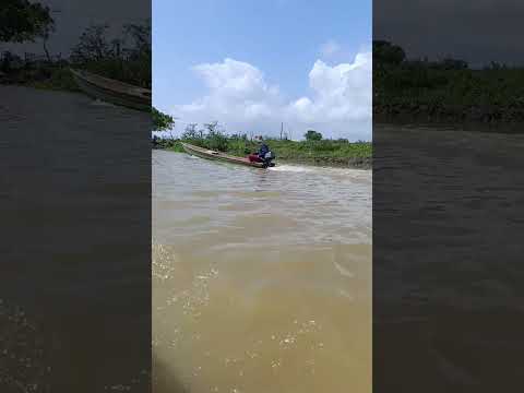 VIAJANDO POR LA CIENAGA DE AYAPEL #pueblo #campo #viralreel #fishing #viralshort #viral #viralvideo