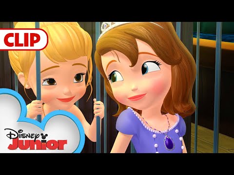 Mermaid Rescue | Sofia The First | 