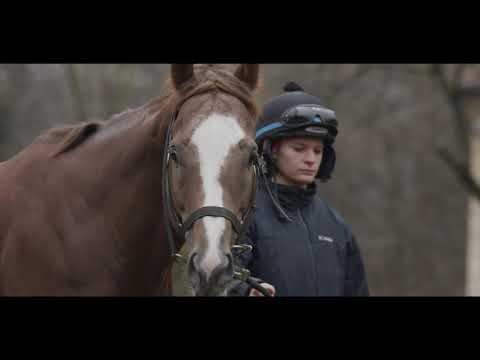 Cirfandli az év lova