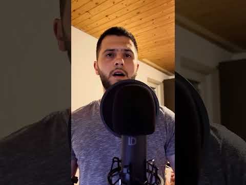 Mihail Baicus - HERUVIC GLASUL 8 , după I. Popescu-Pasărea 💒 Cântările Sfintei Liturghii 🙏