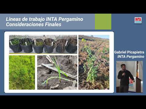 Consideraciones finales del VIII Encuentro Anual de Malezas | Gabriel Picapietra (INTA Pergamino)