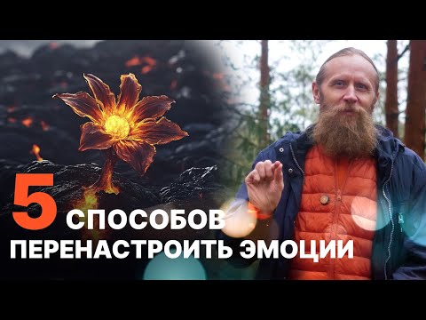 5 ways to transform negative emotions into positive ones. Immunity to difficulties.