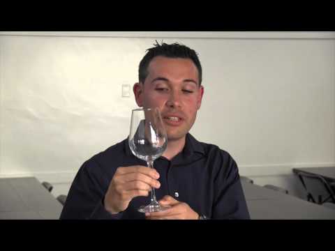 download lagu mp3 mp4 Hild Wine, download lagu Hild Wine gratis, unduh video klip Hild Wine