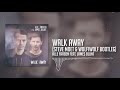 Alle Farben Feat James Blunt Walk Away Steve Moet WolfiWolf Bootleg
