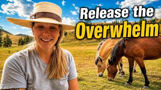 Guided Meditation with Horses to Release Stress and Choose Abundance