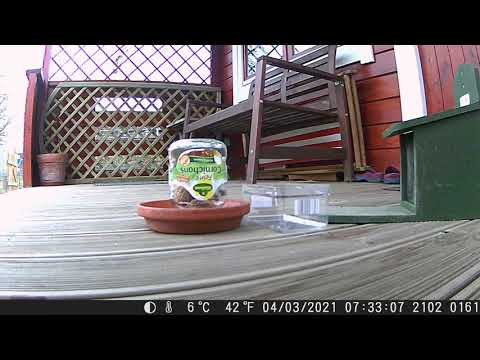 Auf der Terrasse - 161