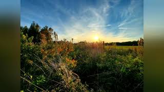 Modest Snippet #3 Sunspots in the House of the Late Scapegoat