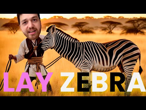 TRADER ESPORTIVO O SEGREDO LUCRATIVO POR TRAS DO LAY ZEBRA