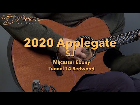 2020 Applegate SJ Tunnel 14 Redwood Top With Macassar Ebony Back And Sides – LR Baggs HiFi Duet image 19