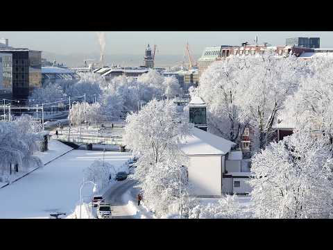 Webinar: Klimatredovisningen förändras kraftigt - är du redo?