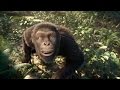 COLDPLAY - Adventure Of A Lifetime - OFFICIAL VIDEO - LIVE 2016 - Broken Frames
