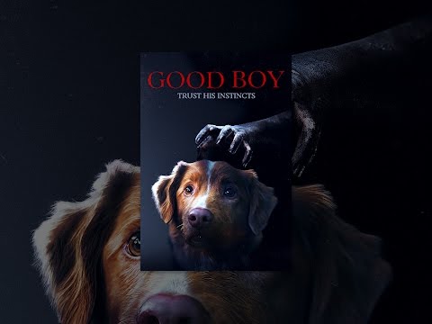 Good Boy - Trust his Instincts