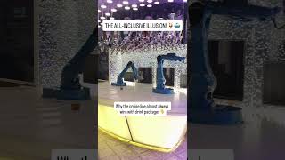 Are you Team Drink Package or Team Pay As You Go #drinkpackage #cruisevacation