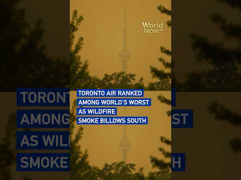 Toronto air ranked among world's worst as wildfire smoke billows south