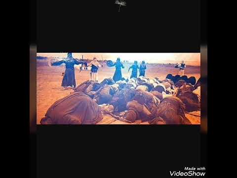 Dini mahnı (Dele Zeyneb)2017