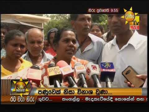 Hiru News 9.55 PM | 2019-01-19