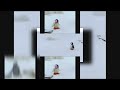 Request YTPMV Pingu Builds A Tower Scan