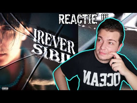 MOTIVAȚIONAL! PUNCT pe DHALI - IREVERSIBIL | REACȚIE EP