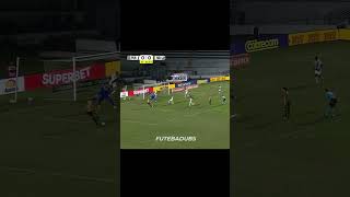 isso a gente não vê na copa do mundo