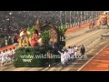 Tamil Nadu Tableau Depicts Toda Tribe Of Nilgiri District At Rajpath Delhi