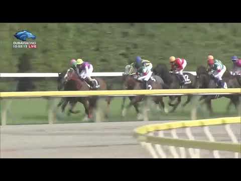 2019.05.12 Principal Stakes (JPN) - Zadar