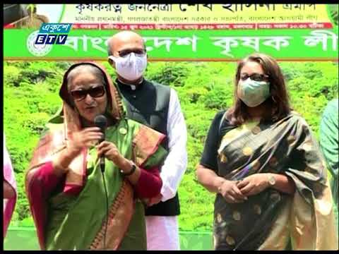 সবাইকে তিনটি করে কাছ লাগানোর আহ্বান প্রধানমন্ত্রীর