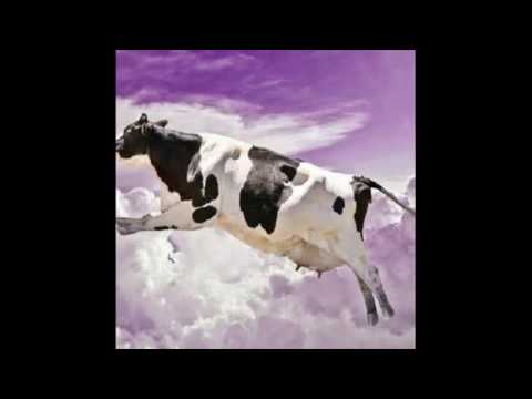 Dek Bovinoj Orkestra Versio